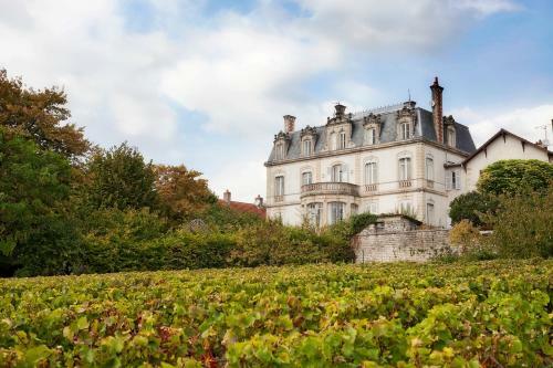 Mercurey Chateau Sleeps 16 Pool Wifi