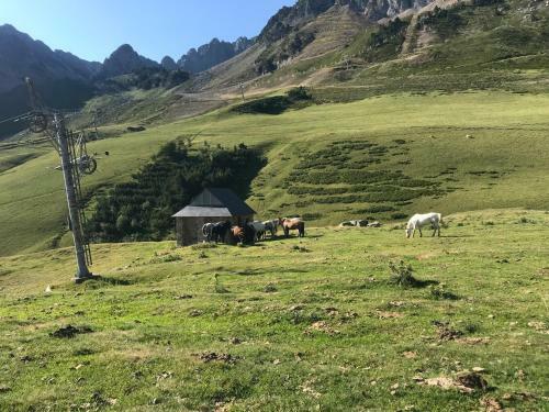 Apartamentos Gite Bel Air La Mongie