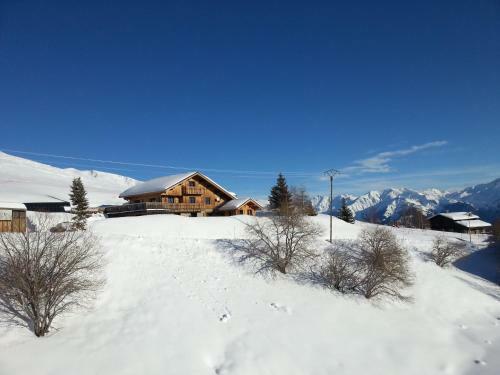 Apartamento Chalet La Louvi�re