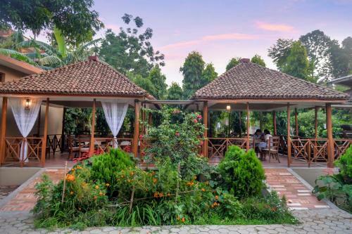 Jungle Safari Lodge