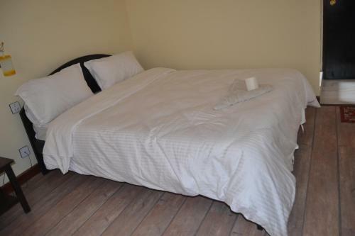 Hostal Bag Packer's Lodge