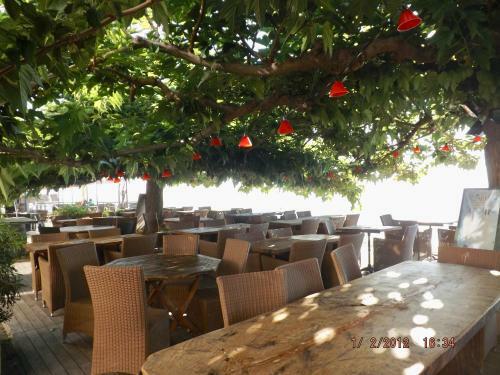 Apartamento R�sidence Roi Theodore