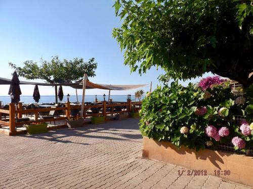 Apartamento R�sidence Roi Theodore