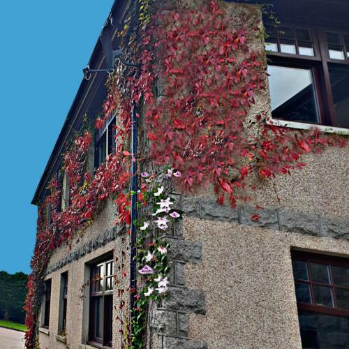 Hostal Bogenraith House