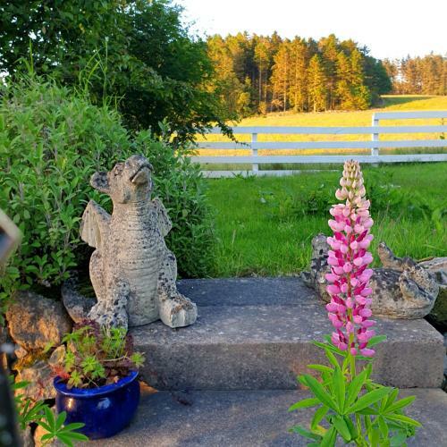 Hostal Bogenraith House