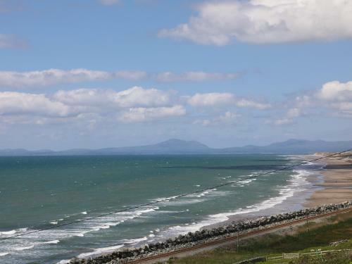 Copper Beach