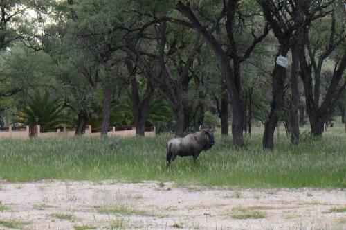 Agroturismo Onduruquea Guestfarm