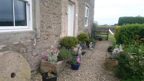 Bed & Breakfast Lily Hill Farm