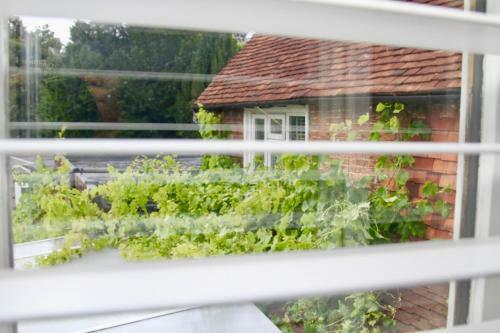 Hotel Chequers Inn