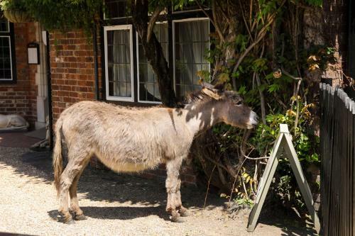 Beaulieu Villa Sleeps 8 With Wifi