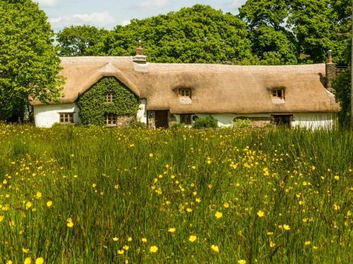 Bed & Breakfast Hay Meadow Farm