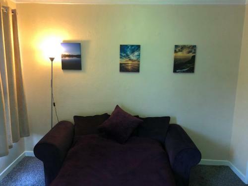 Convenient Apartment In Belfast