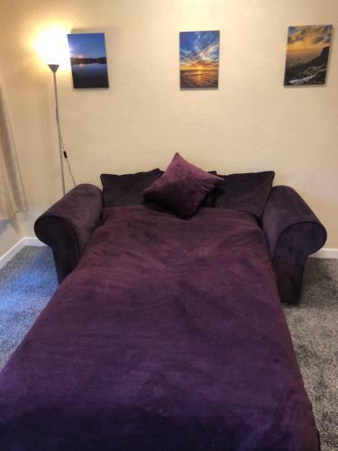 Convenient Apartment In Belfast