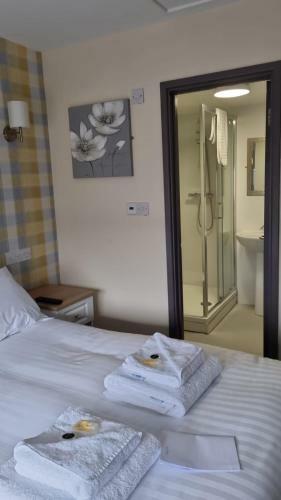 Hotel The Aston Inn