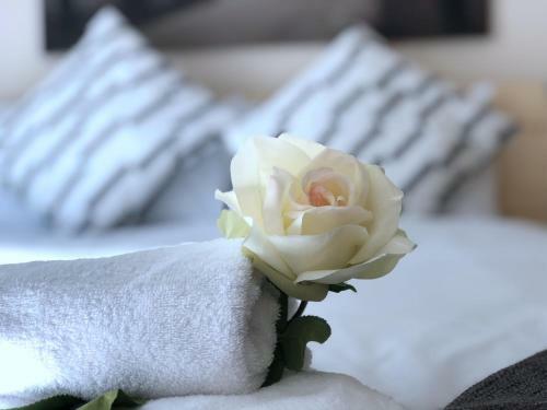 Apartamentos Birmingham Cube Fiveways Garden View Terrace Flat
