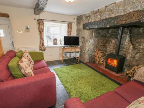 Plas Arenig