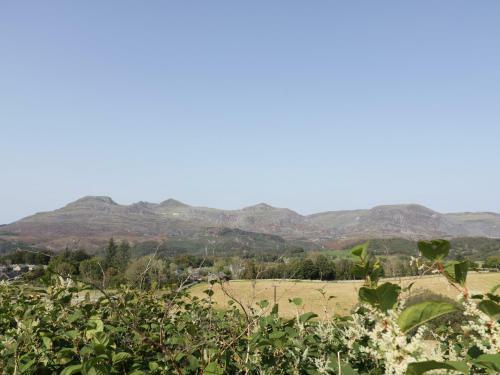 5 Bryn Tirion