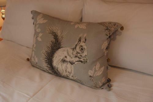 Red Squirrel Lodge
