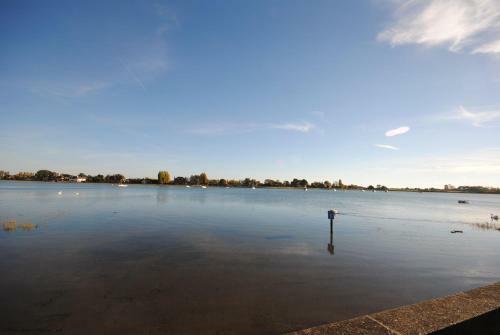 Oysters, Bosham
