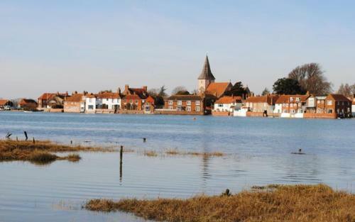 Oysters, Bosham