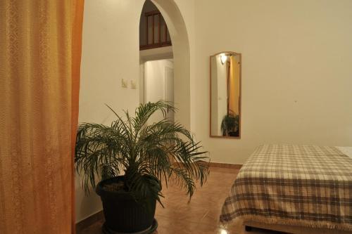 Aparthotel Huter Apartments