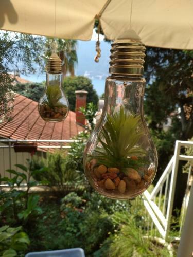 Hostal Guest House Tomanovic