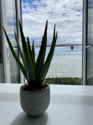 Bridlington Bay Apartments