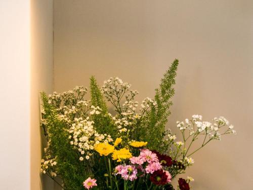 Exquisite 3bdr Botanical Oasis In Central Brighton