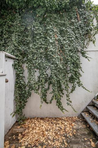 Apartamento Sea Spray I Mews House Sleep 6