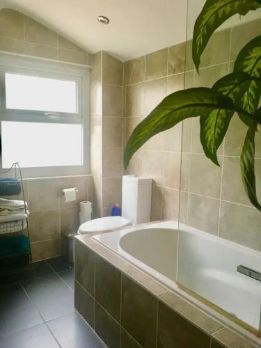 Hostal Comfy And Cosy 3 Bedroom Townhouse In Brighton