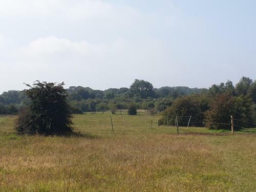 Hostal Open Acres Accomadation And Airport Parking
