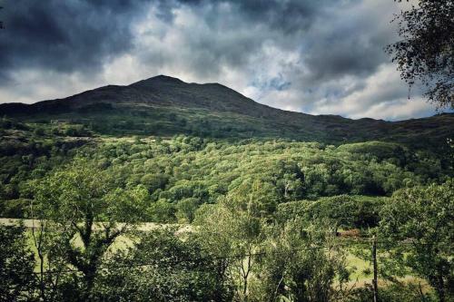 Celyn - Snowdonia Cottage