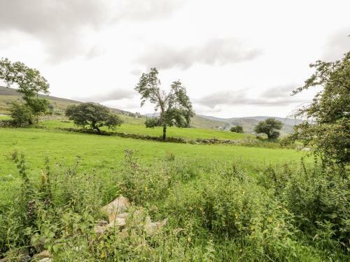 Ffynnon Bach