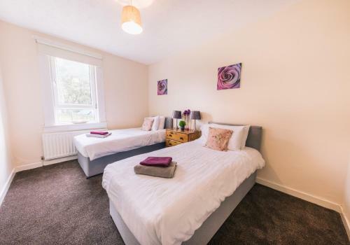 Airdrie Contractors Apartment