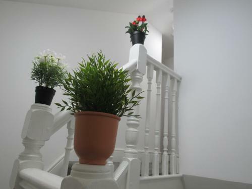 Hostal The Tas Suites - Tas Accommodations