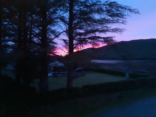 Bed & Breakfast Trien Lodge