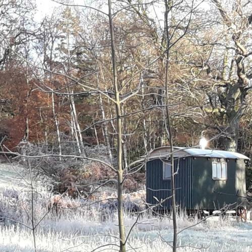 Cosy Woodland Off Grid Shepherds Hut - Rowan
