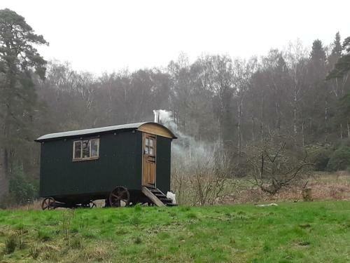 Cosy Woodland Off Grid Shepherds Hut - Rowan