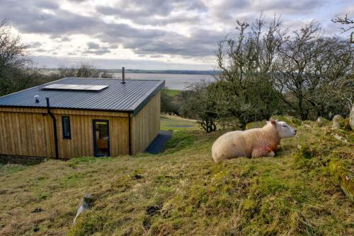 Knowe Lodge