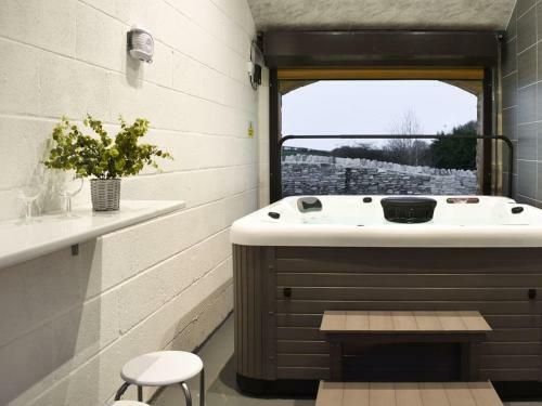 Barn Owl Cottage - Uk33172
