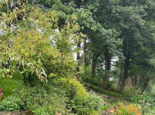 Magical Cottage In A Hidden Cotswolds Valley