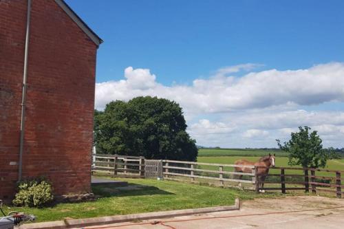 Agroturismo The Barn [mews}
