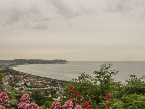 Sea-prize View