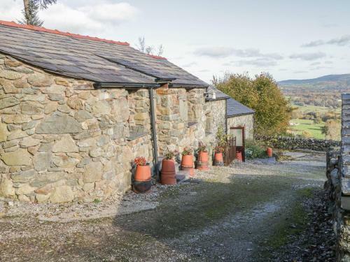 Cae Asaph