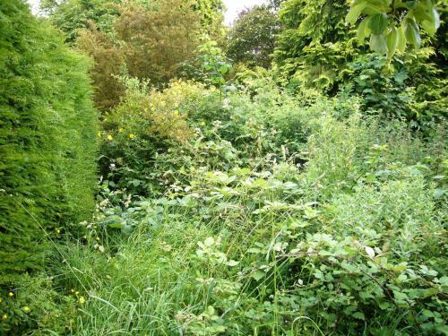 Cossington Park Estate