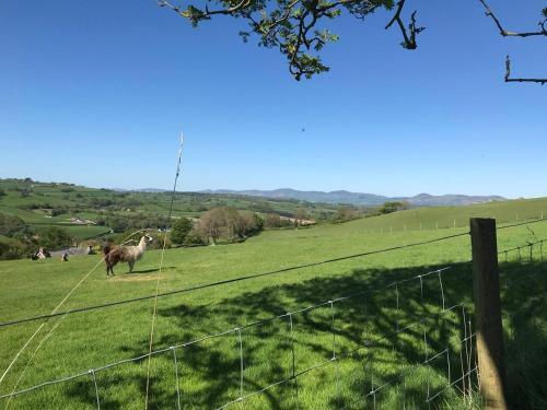 Impeccable 1-bed Cottage Near Corwen