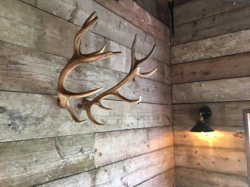 Luxury Safari Lodge Surrounded By Deer!! 'roe'