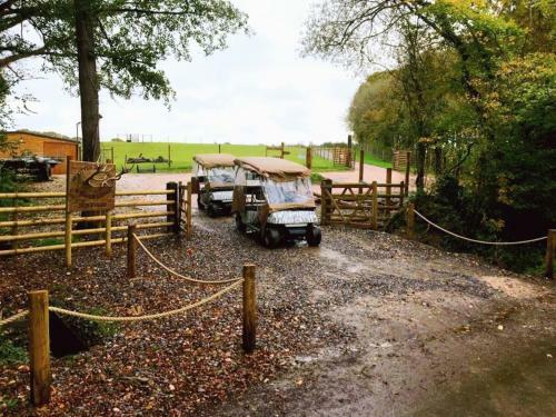 Luxury Safari Lodge Surrounded By Deer!! 'fallow'