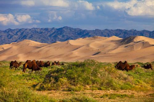 Hostal Mongolian Vision Tours Guesthouse