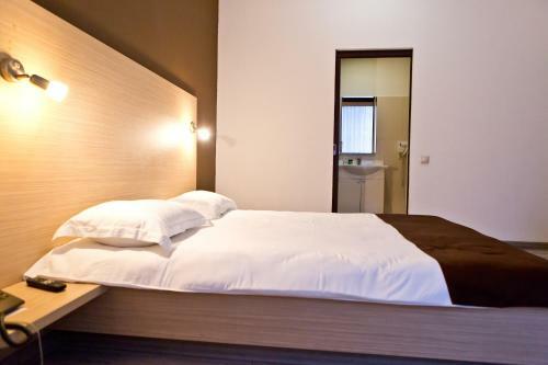 Business Hotel Olsi